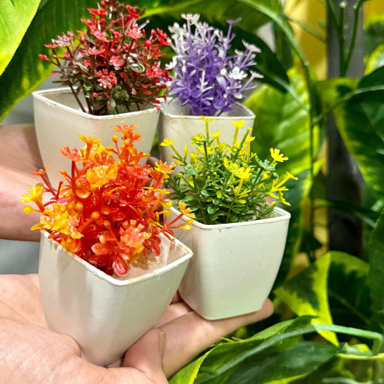 Set of 4 Mini Cute plants